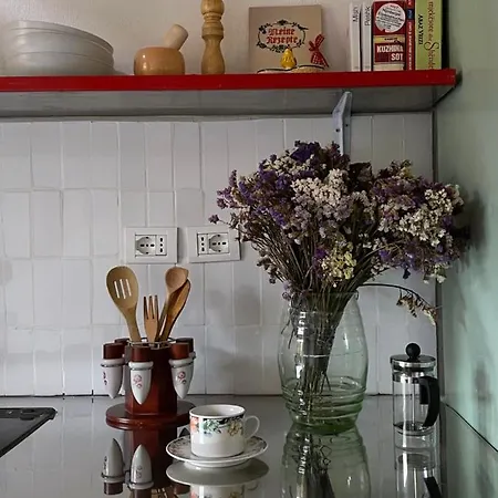 Casa Shprese - Wooden * Tirana