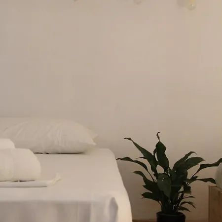 公寓 Casa Shprese - Wooden